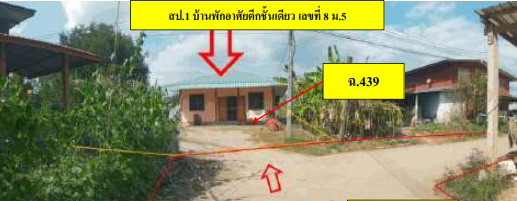 รูปที่ดินพร้อมสิ่งปลูกสร้าง ป่าแดง ชาติตระการ พิษณุโลก