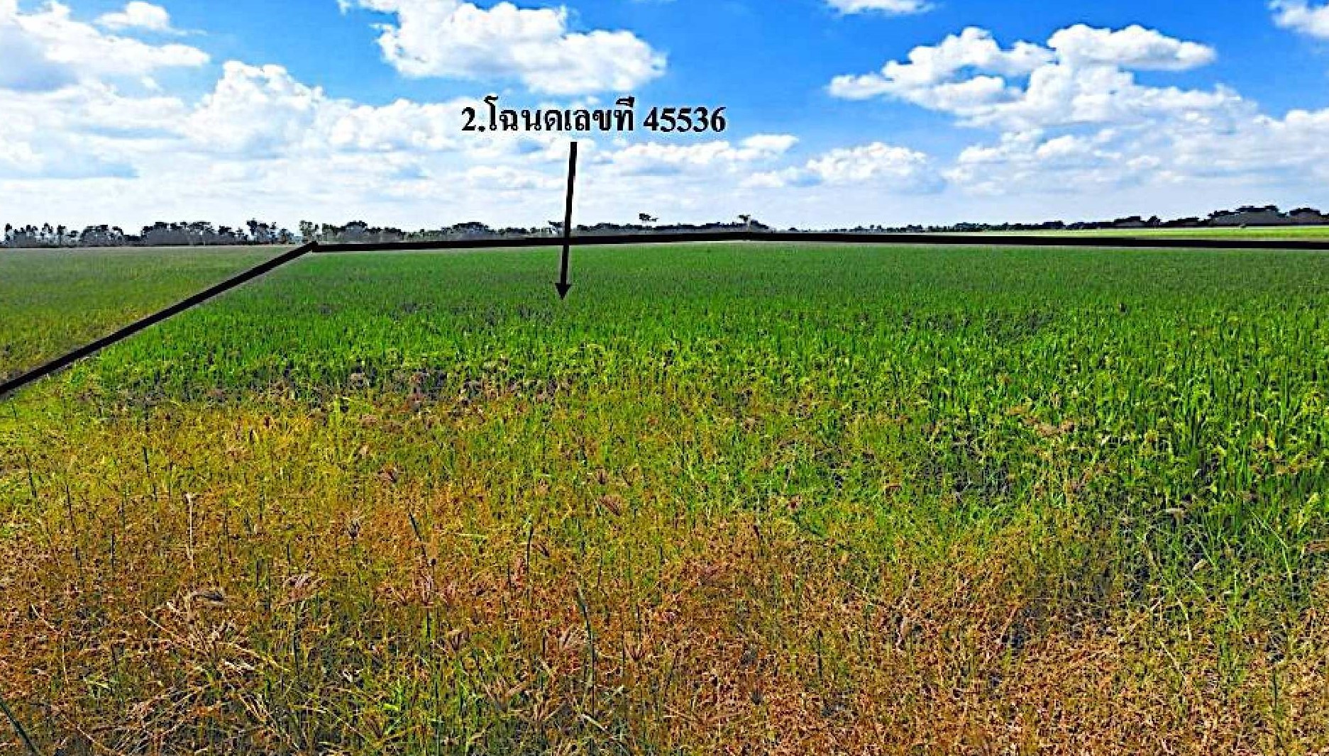 รูปที่ดินว่างเปล่า เจริญผล บรรพตพิสัย นครสวรรค์
