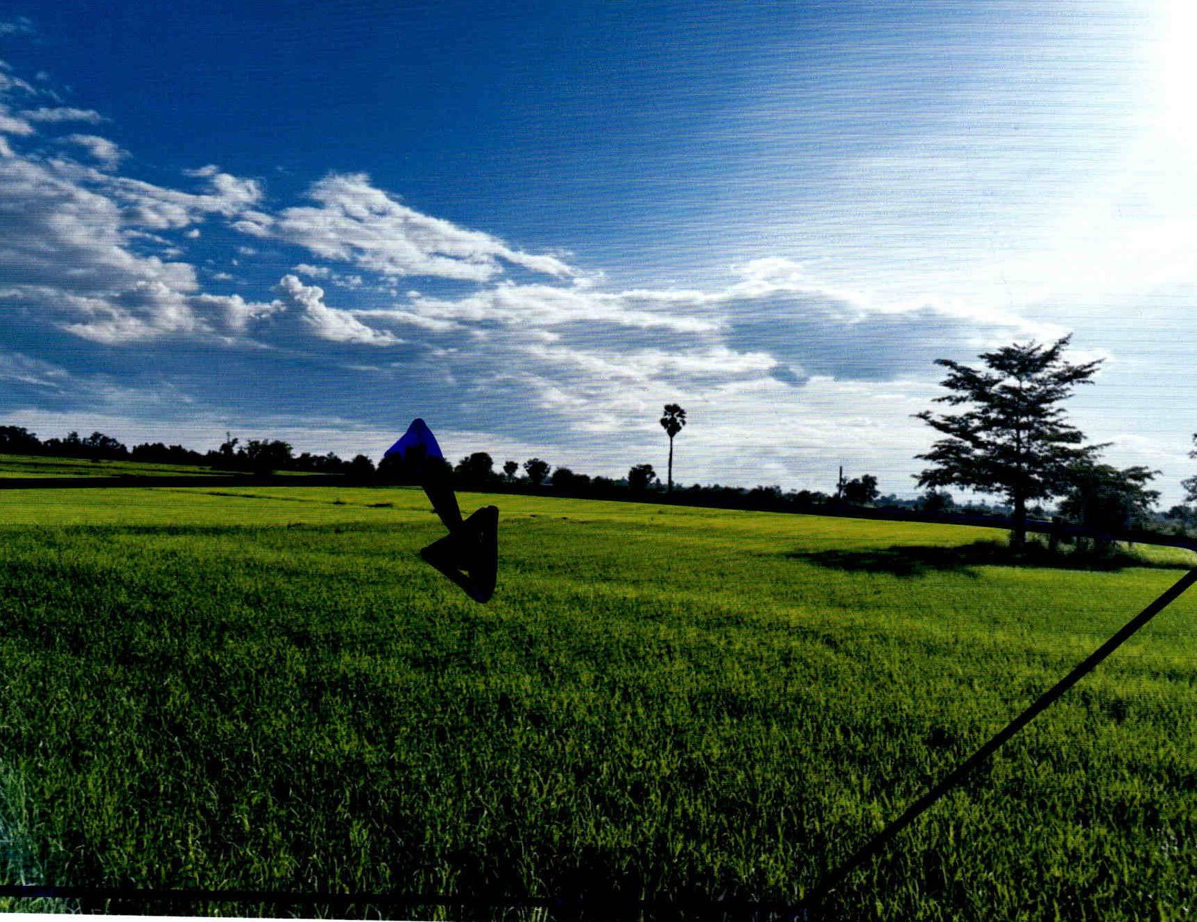 รูปที่ดินว่างเปล่า เมืองบางขลัง สวรรคโลก สุโขทัย