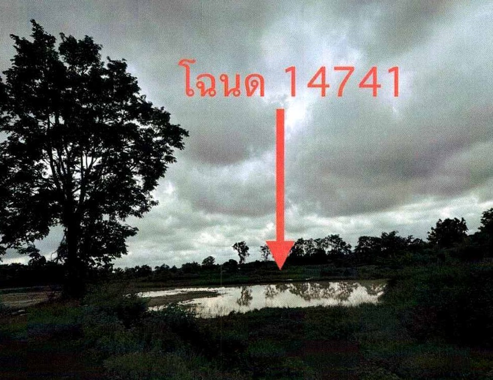 รูปที่ดินว่างเปล่า สระใคร สระใคร หนองคาย