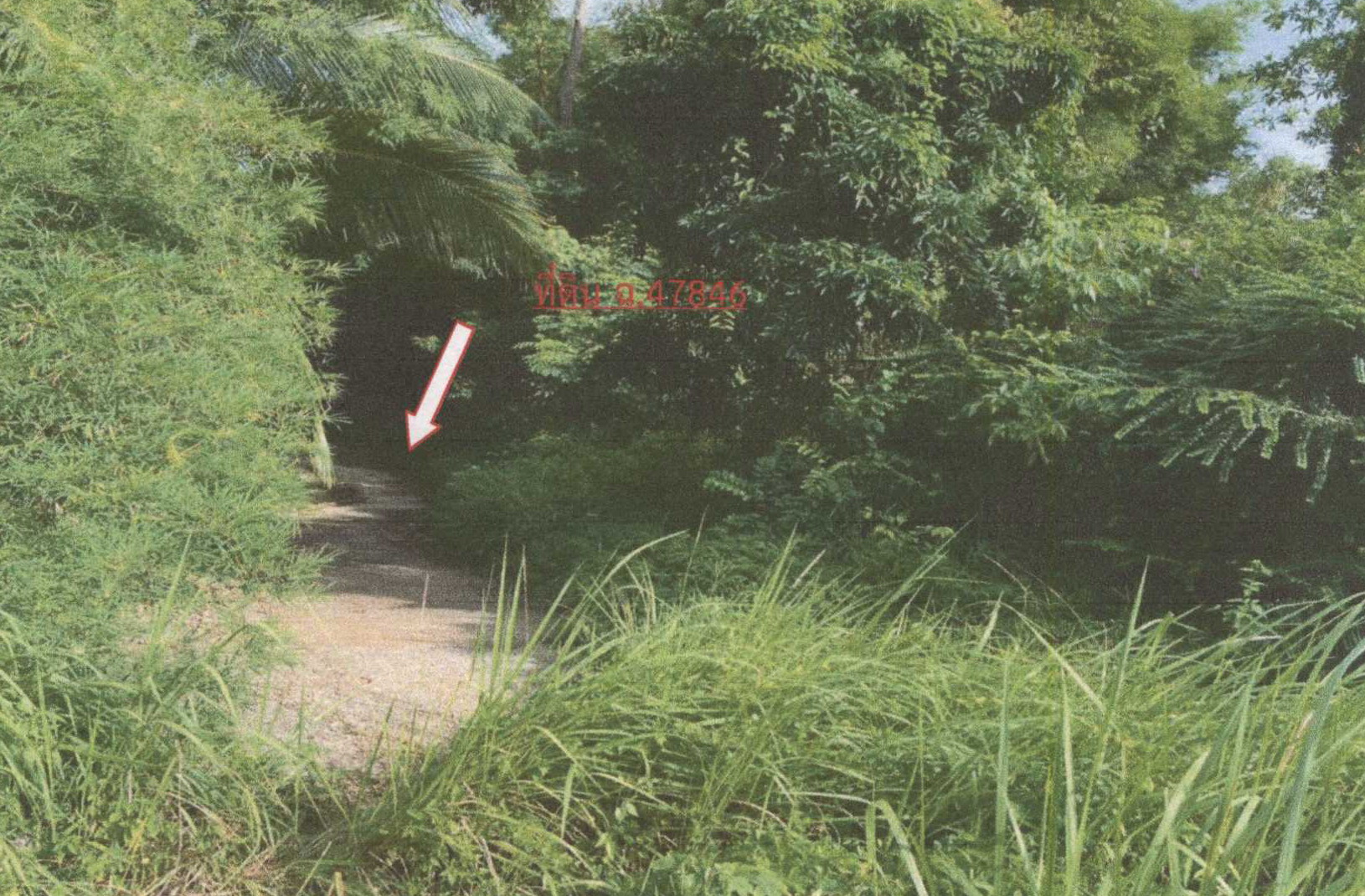 รูปที่ดินว่างเปล่า ตลิ่งงาม เกาะสมุย สุราษฎร์ธานี
