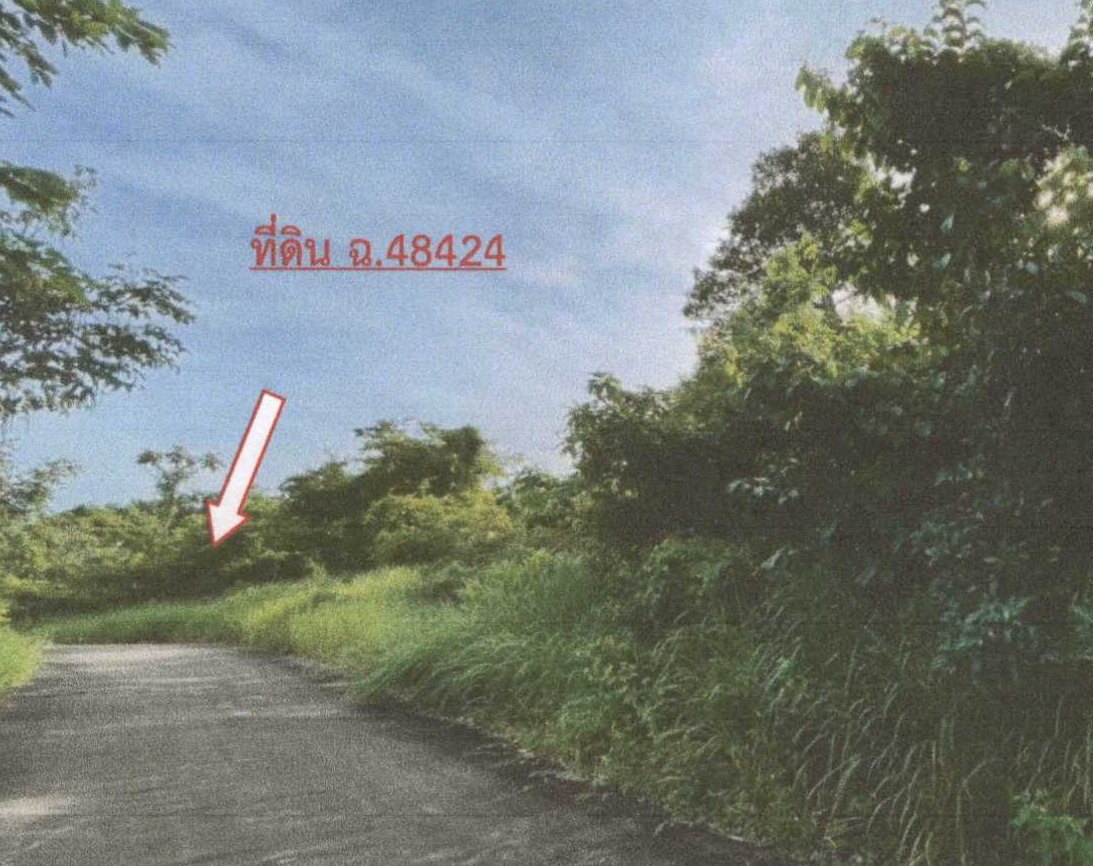 รูปที่ดินว่างเปล่า ตลิ่งงาม เกาะสมุย สุราษฎร์ธานี
