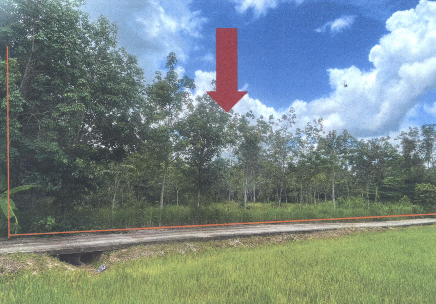 รูปที่ดินว่างเปล่า สังเม็ก กันทรลักษ์ ศรีสะเกษ
