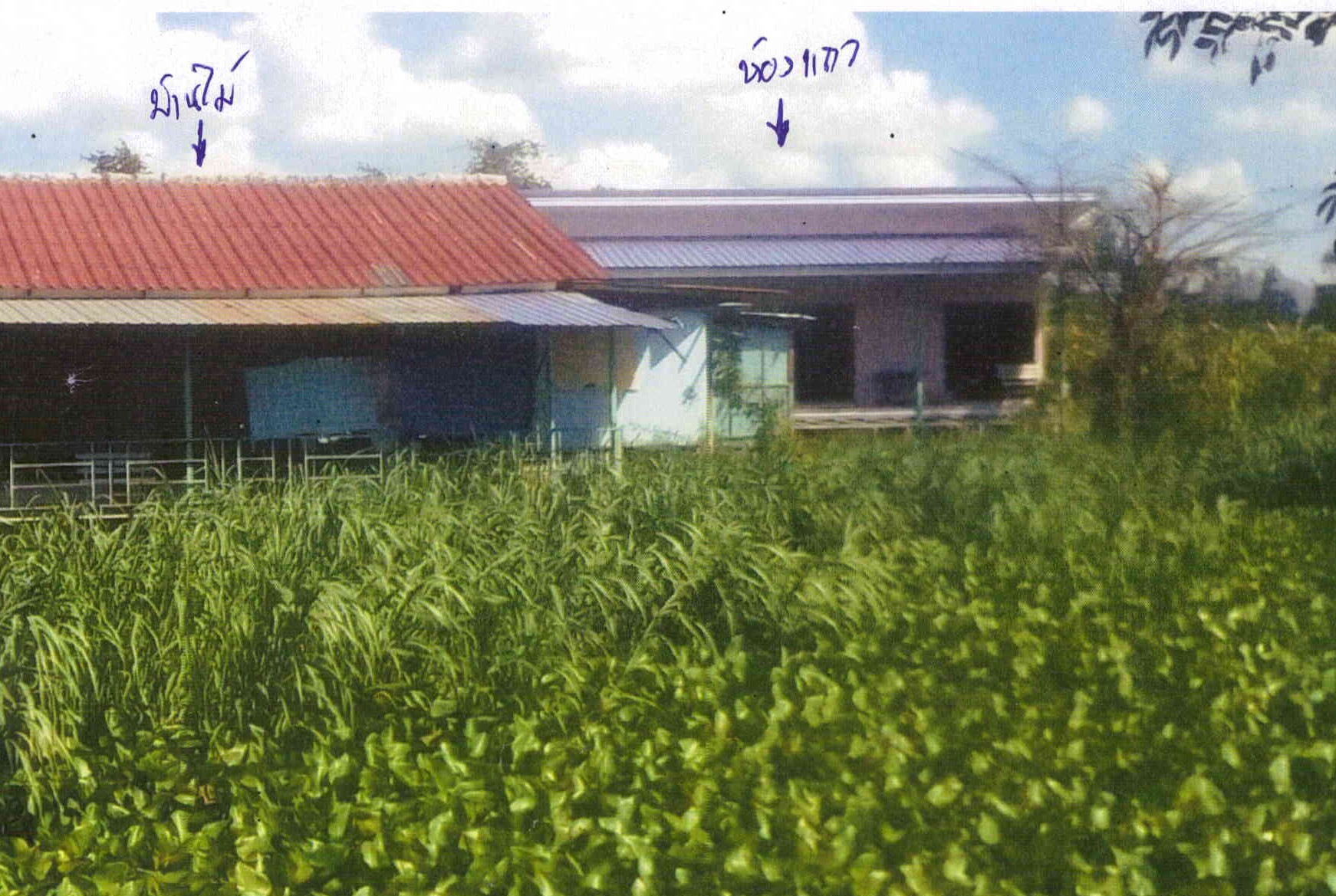 รูปที่ดินพร้อมสิ่งปลูกสร้าง ท่าแค เมืองลพบุรี (เมือง) ลพบุรี