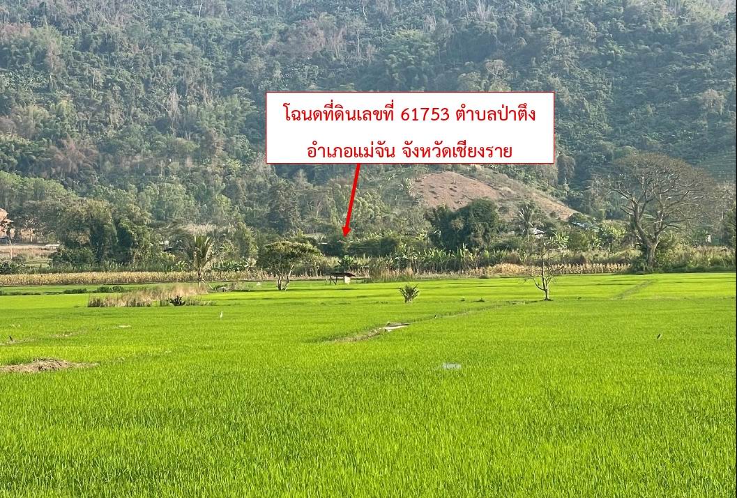 รูปที่ดินว่างเปล่า ป่าตึง แม่จัน เชียงราย