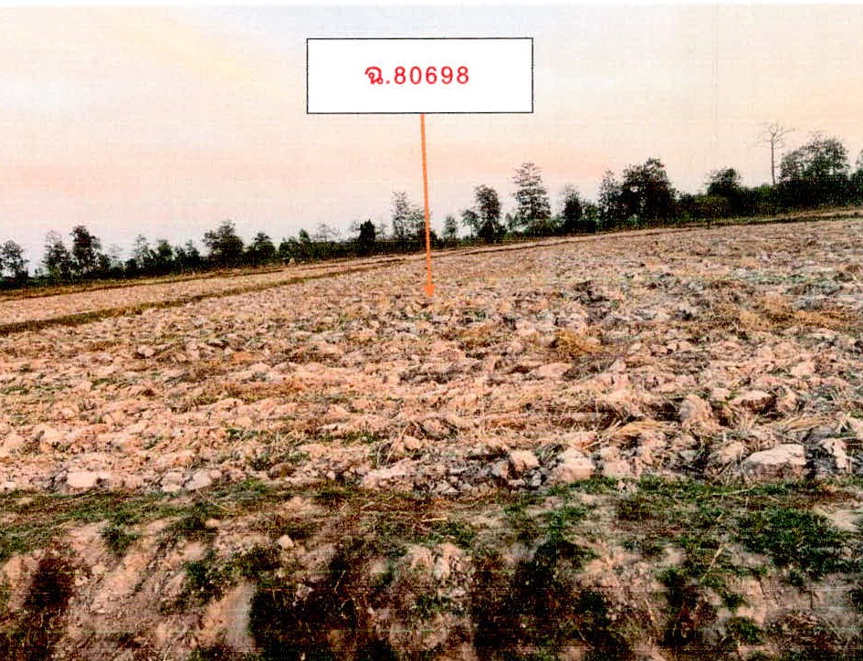 รูปที่ดินว่างเปล่า น้ำคำ เมืองศรีสะเกษ ศรีสะเกษ