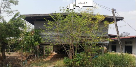 รูปที่ดินพร้อมสิ่งปลูกสร้าง หนองบัวแดง หนองบัวแดง ชัยภูมิ