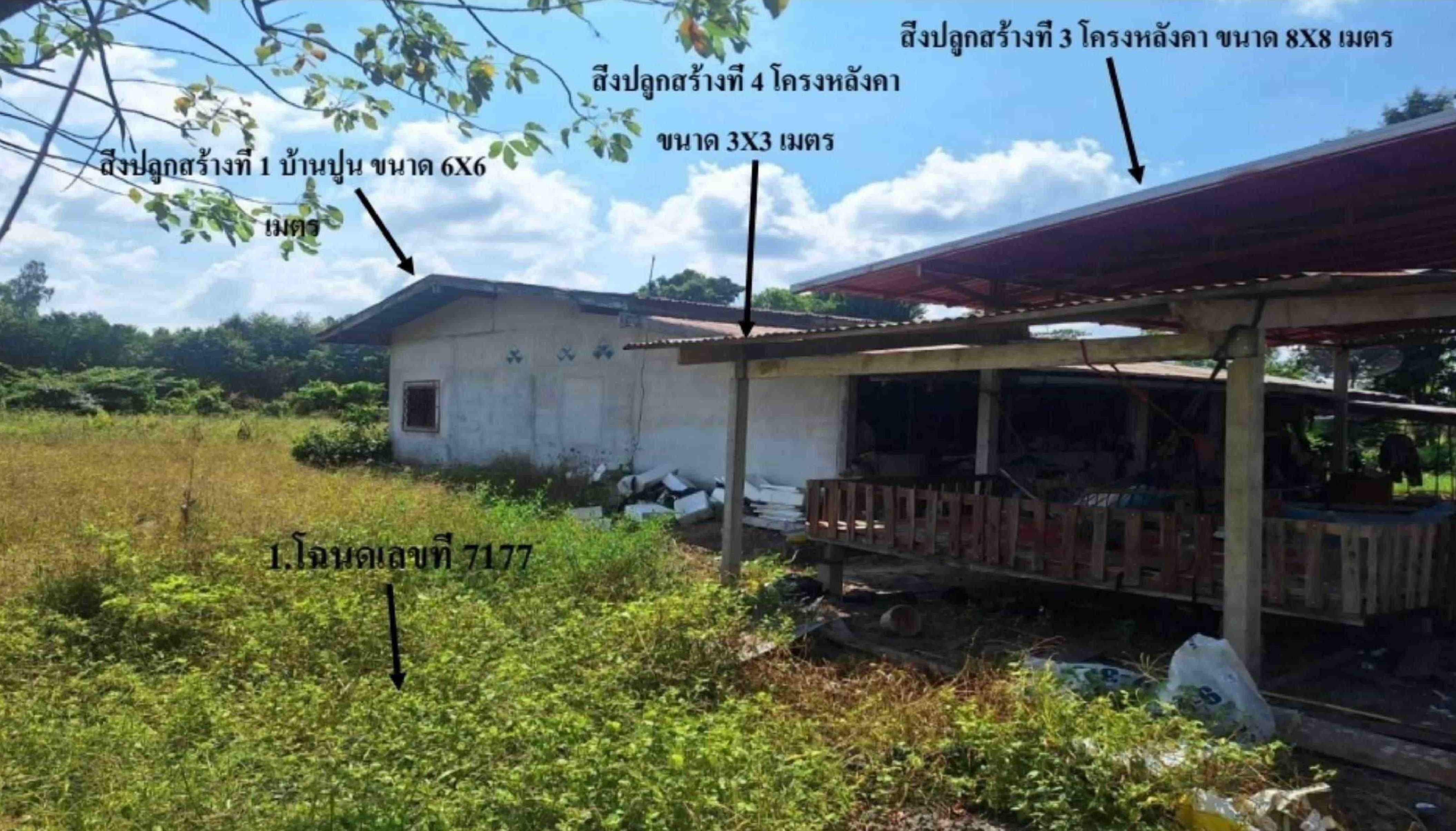 รูปที่ดินพร้อมสิ่งปลูกสร้าง บางตาหงาย บรรพตพิสัย นครสวรรค์