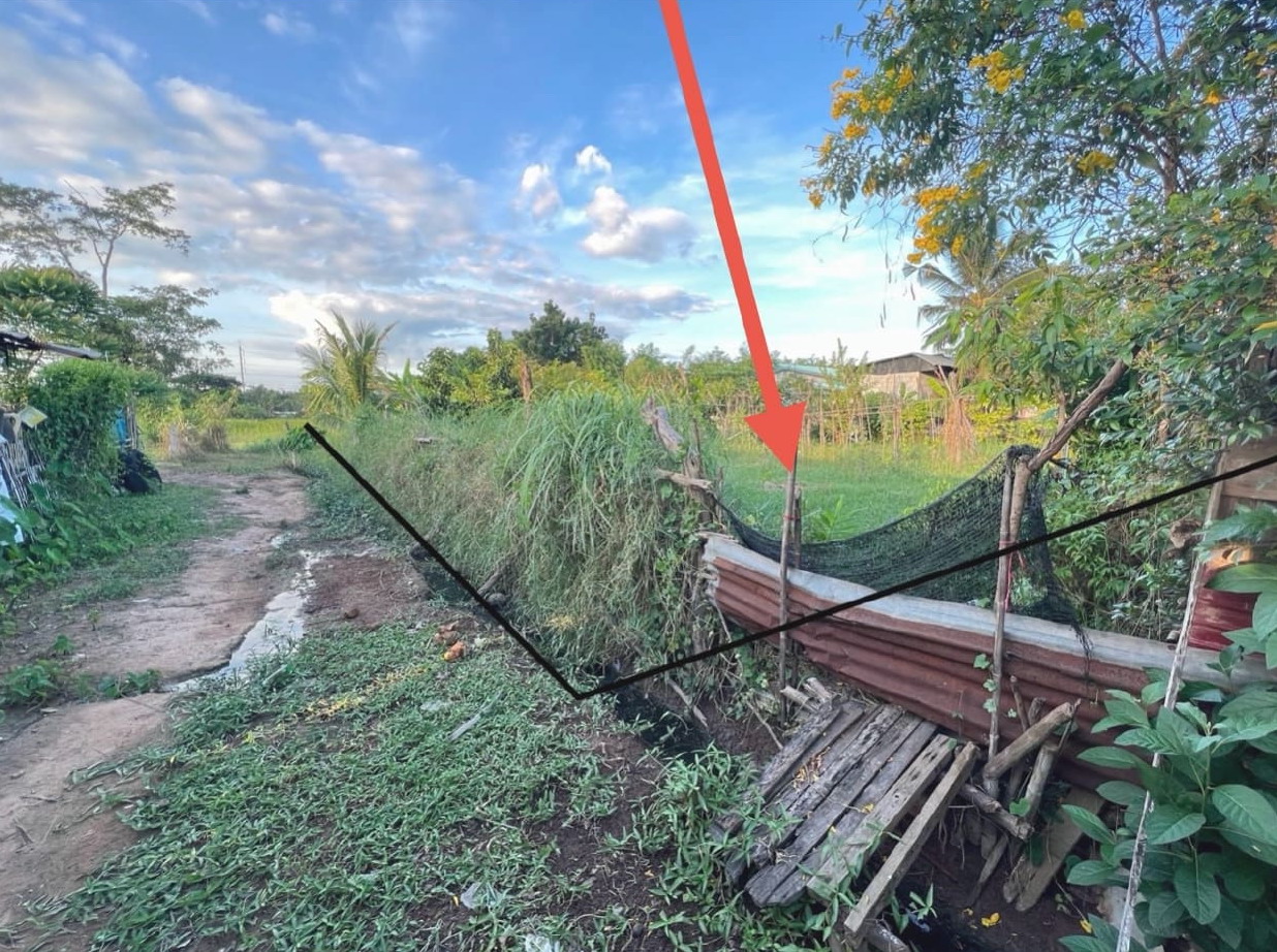 รูปที่ดินว่างเปล่า หนองเรือ หนองเรือ ขอนแก่น