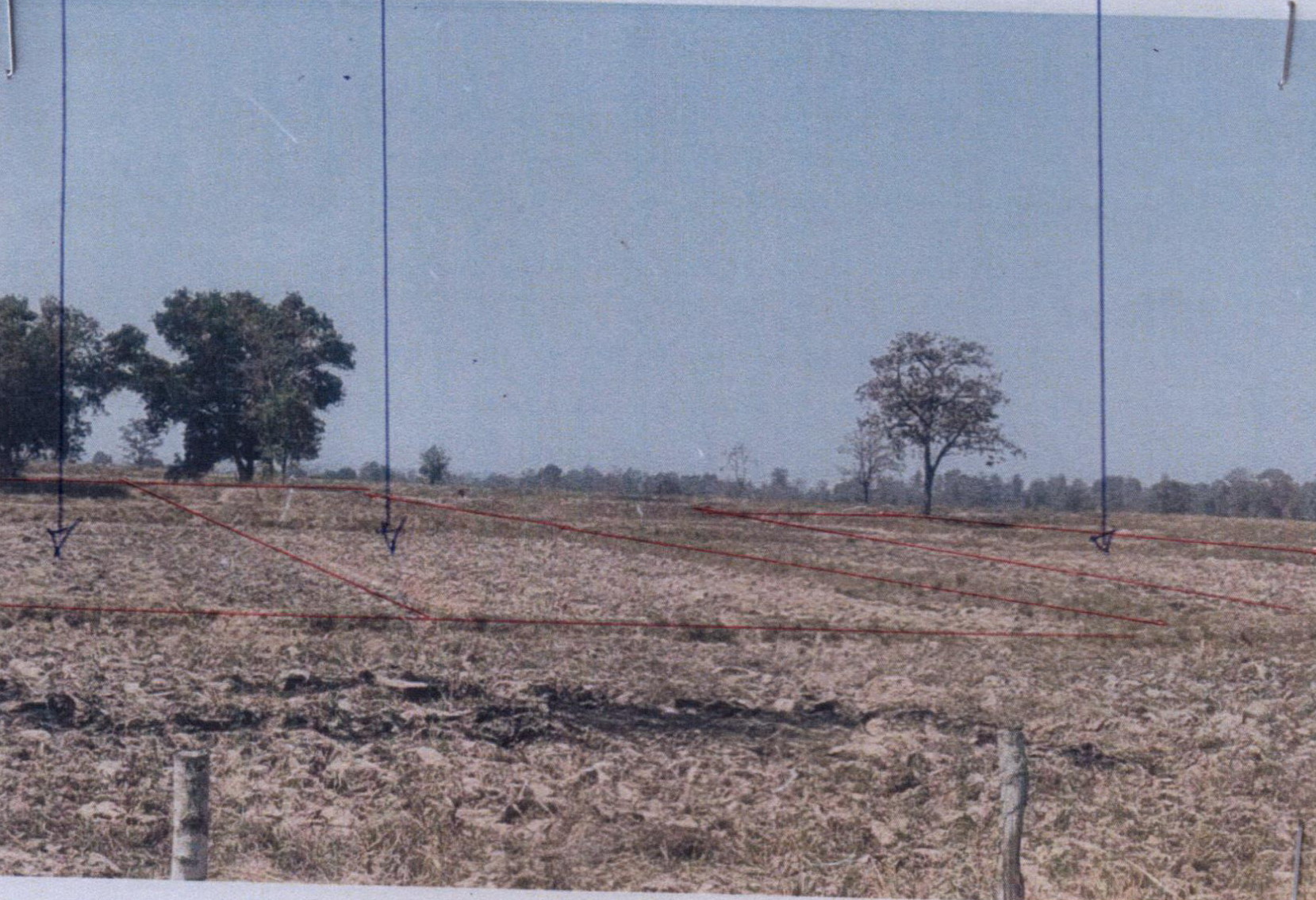 รูปที่ดินว่างเปล่า หนองบัวบาน รัตนบุรี สุรินทร์