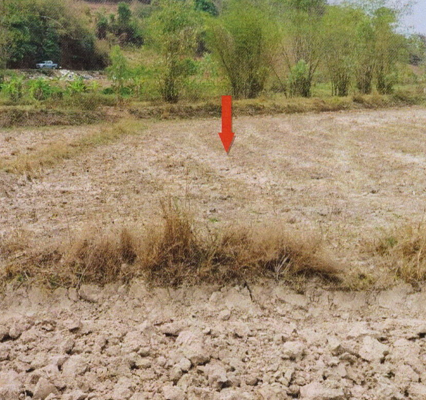รูปที่ดินว่างเปล่า ดอยลาน เมืองเชียงราย เชียงราย