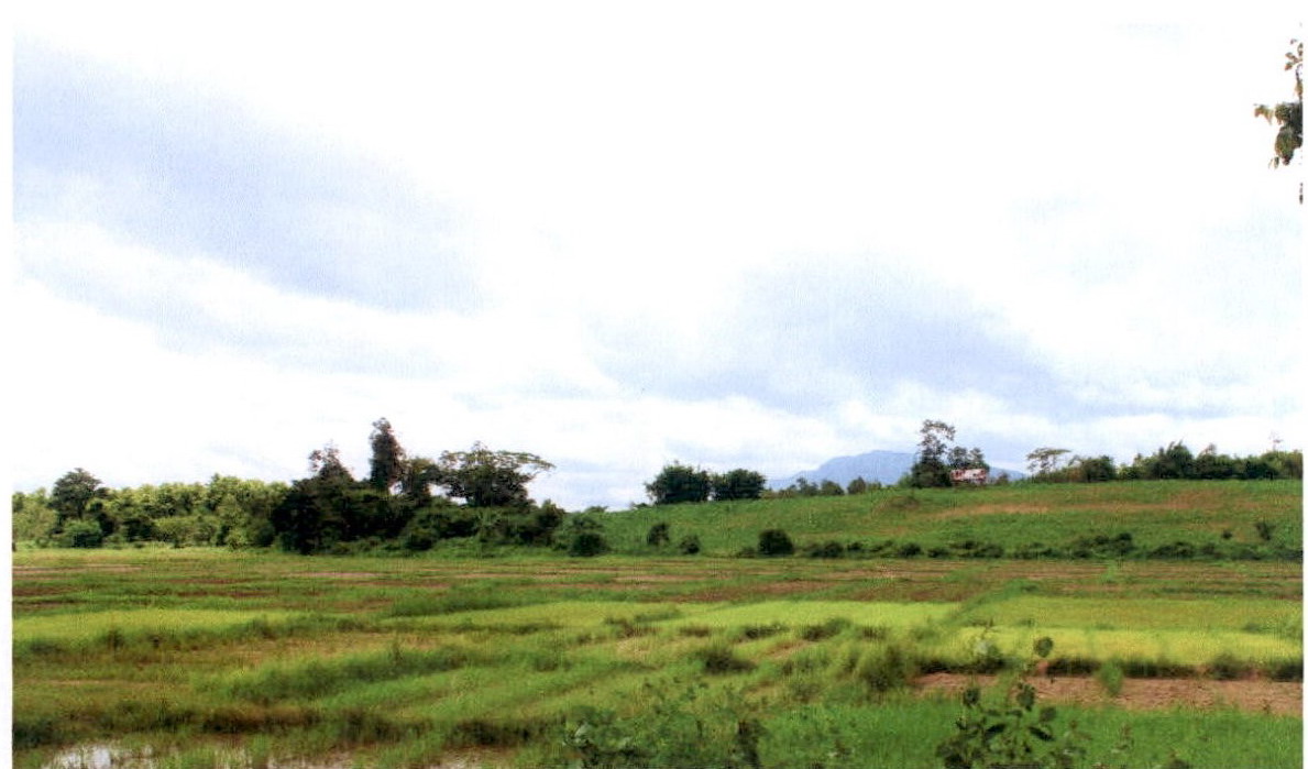 รูปที่ดินว่างเปล่า ดอยลาน เมืองเชียงราย เชียงราย