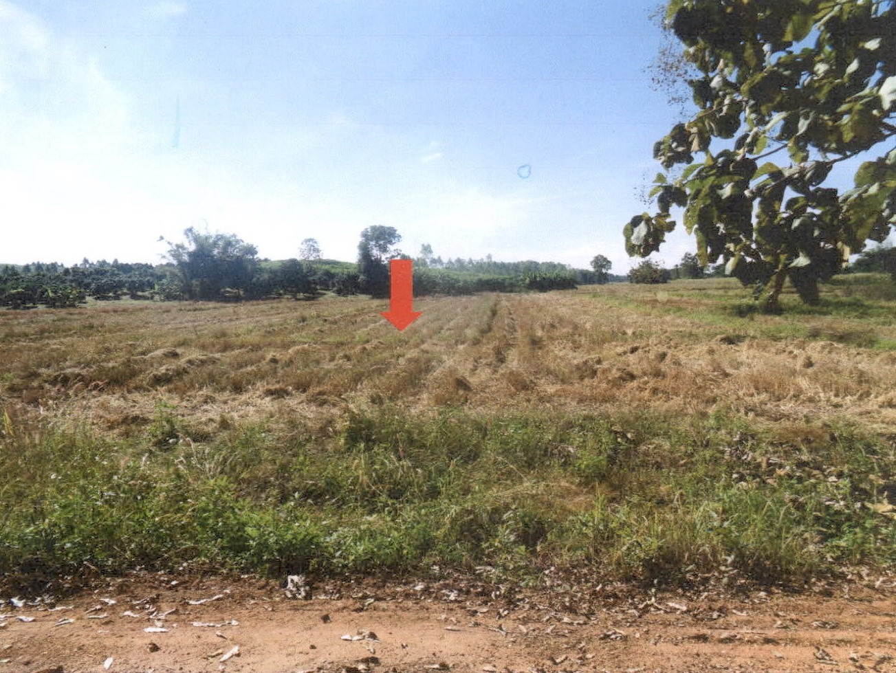 รูปที่ดินว่างเปล่า ดอยลาน เมืองเชียงราย เชียงราย