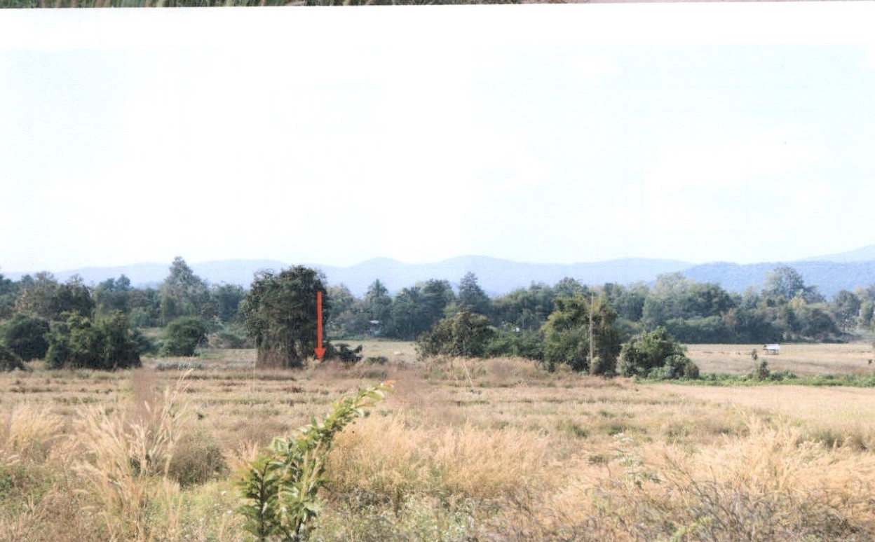 รูปที่ดินว่างเปล่า ดอยลาน เมืองเชียงราย เชียงราย