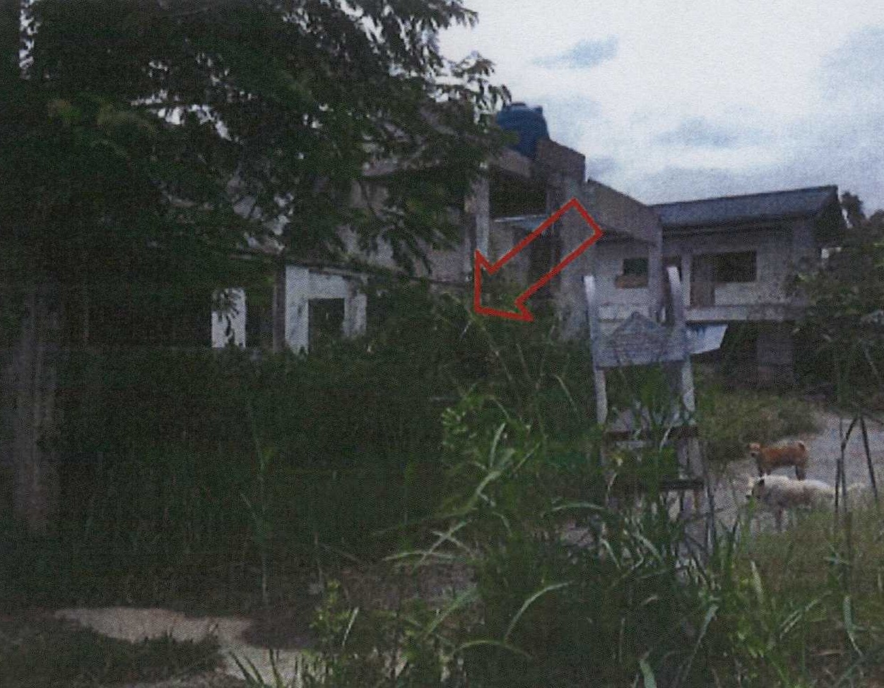รูปที่ดินพร้อมสิ่งปลูกสร้าง คลองสอง(คลอง2ตก) คลองหลวง ปทุมธานี