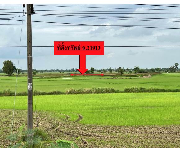 รูปที่ดินว่างเปล่า แสนชาติ จังหาร ร้อยเอ็ด