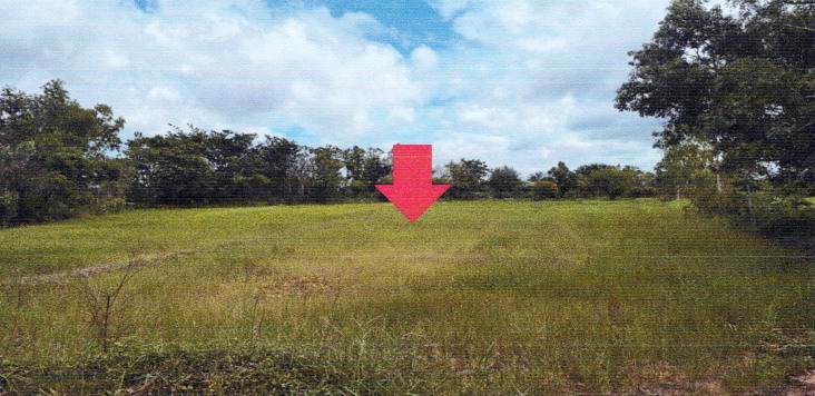 รูปที่ดินว่างเปล่า หนองบ่อ เมืองอุบลราชธานี อุบลราชธานี