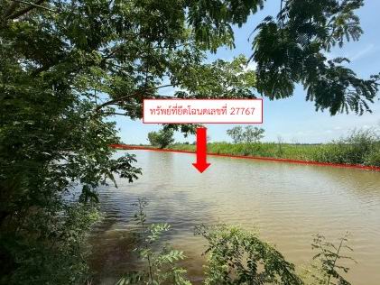 รูปที่ดินว่างเปล่า มะต้อง พรหมพิราม พิษณุโลก