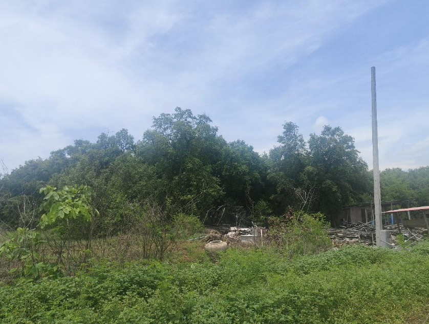 รูปที่ดินว่างเปล่า คลองด่าน บางบ่อ สมุทรปราการ