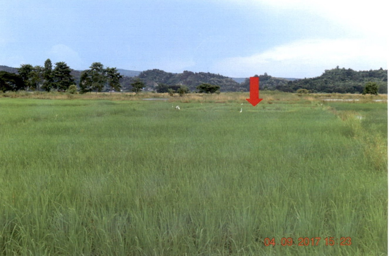 รูปที่ดินว่างเปล่า ดอยลาน เมืองเชียงราย เชียงราย
