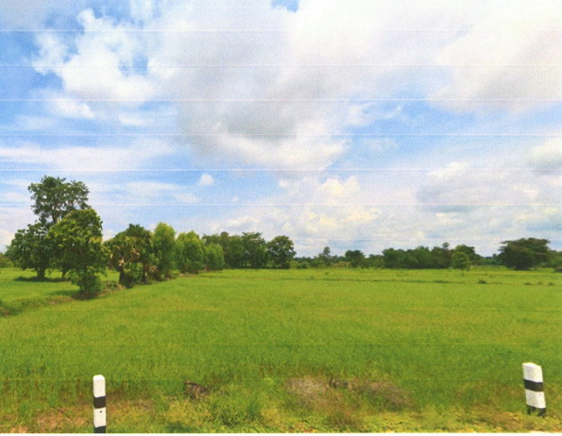 รูปที่ดินว่างเปล่า โคกสว่าง สำโรง อุบลราชธานี