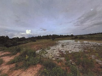 รูปที่ดินว่างเปล่า ลำปาว เมืองกาฬสินธุ์ กาฬสินธุ์