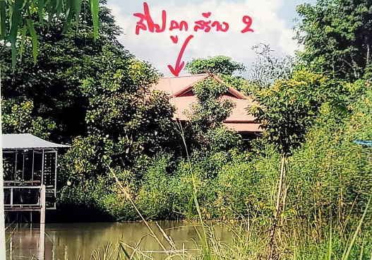 รูปที่ดินพร้อมสิ่งปลูกสร้าง วังพิกุล วังทอง พิษณุโลก