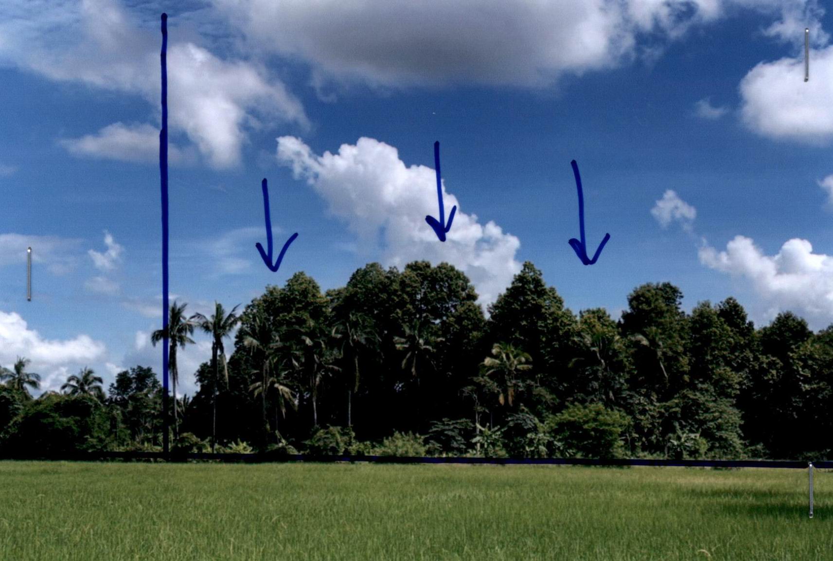 รูปที่ดินว่างเปล่า สนามคลี บางกระทุ่ม พิษณุโลก