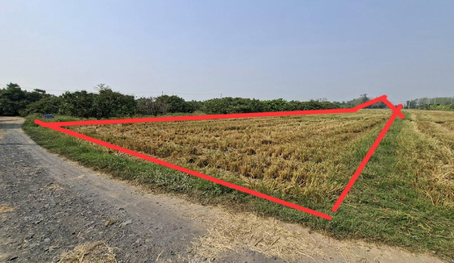รูปที่ดินว่างเปล่า ทุ่งสะโตก สันป่าตอง เชียงใหม่