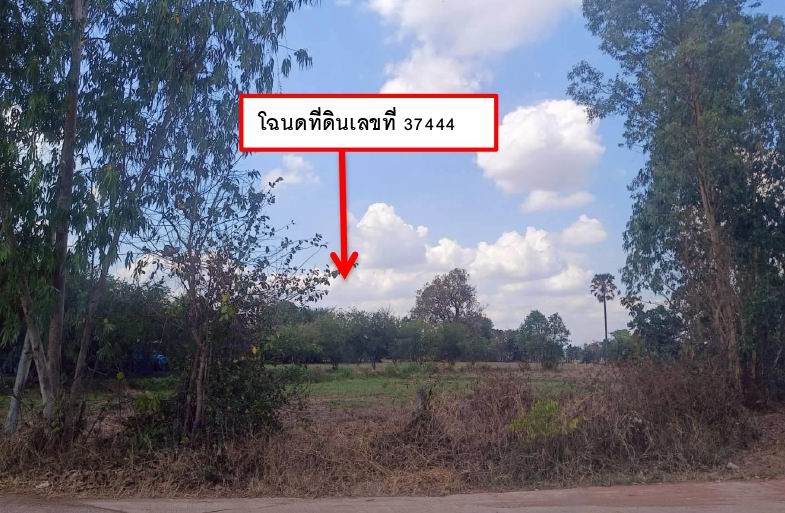 รูปที่ดินว่างเปล่า พลสงคราม โนนสูง นครราชสีมา