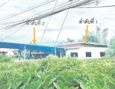 รูปที่ดินพร้อมสิ่งปลูกสร้าง โคกสีทองหลาง วาปีปทุม มหาสารคาม