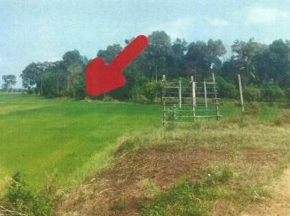 รูปที่ดินว่างเปล่า เจ้าท่า กมลาไสย กาฬสินธุ์