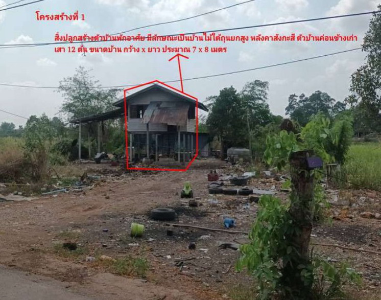 รูปที่ดินพร้อมสิ่งปลูกสร้าง พันชาลี วังทอง พิษณุโลก
