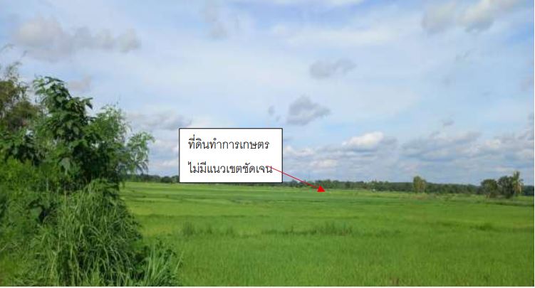 รูปที่ดินว่างเปล่า แสงสว่าง หนองแสง อุดรธานี