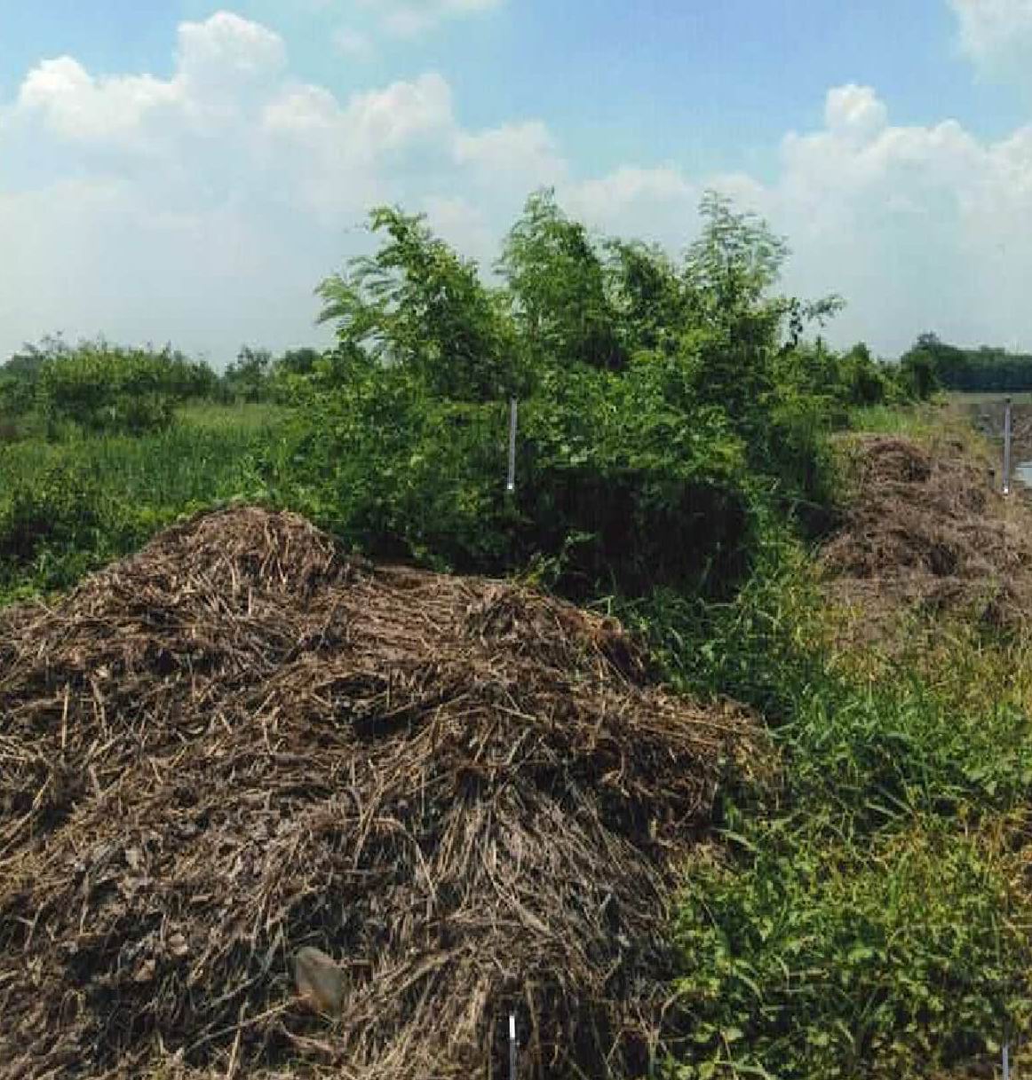 รูปที่ดินว่างเปล่า ทรายกองดิน มีนบุรี กรุงเทพมหานคร