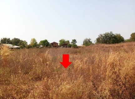 รูปที่ดินว่างเปล่า โนนน้ำเกลี้ยง สหัสขันธ์ กาฬสินธุ์