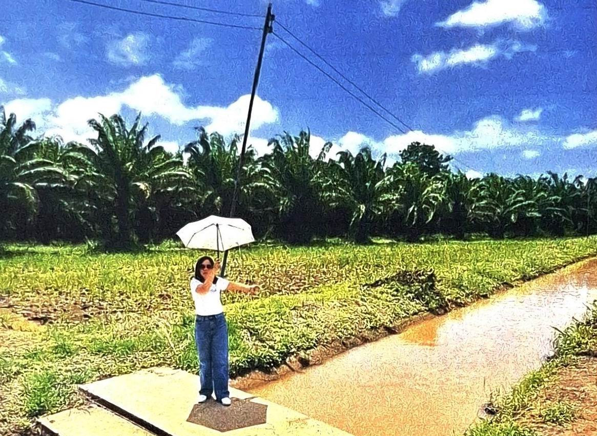 รูปที่ดินว่างเปล่า ศรีภิรมย์ พรหมพิราม พิษณุโลก