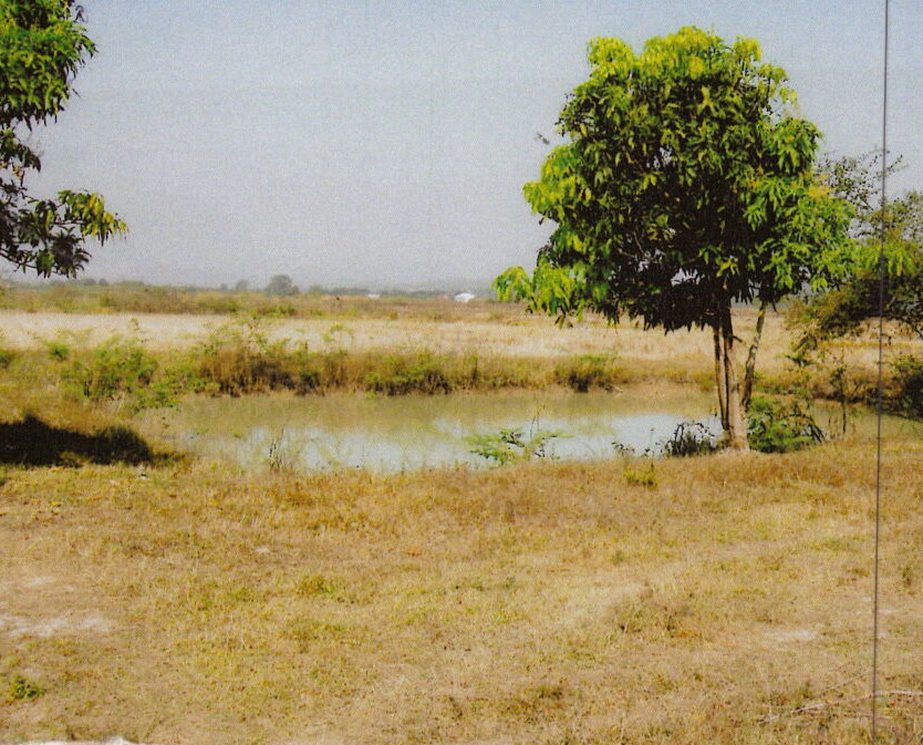รูปที่ดินว่างเปล่า ดอยลาน เมืองเชียงราย เชียงราย