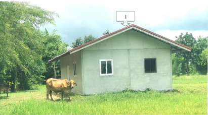 รูปที่ดินพร้อมสิ่งปลูกสร้าง ยางสักกระโพหลุ่ม ม่วงสามสิบ อุบลราชธานี