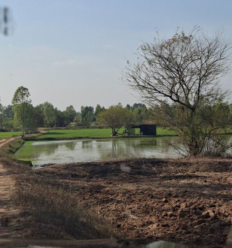 รูปที่ดินว่างเปล่า เหล่า โกสุมพิสัย มหาสารคาม