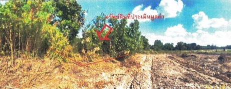 รูปที่ดินว่างเปล่า นิคมห้วยผึ้ง ห้วยผึ้ง กาฬสินธุ์