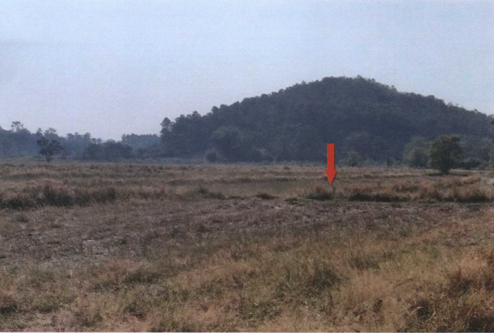 รูปที่ดินว่างเปล่า ดอยลาน เมืองเชียงราย เชียงราย