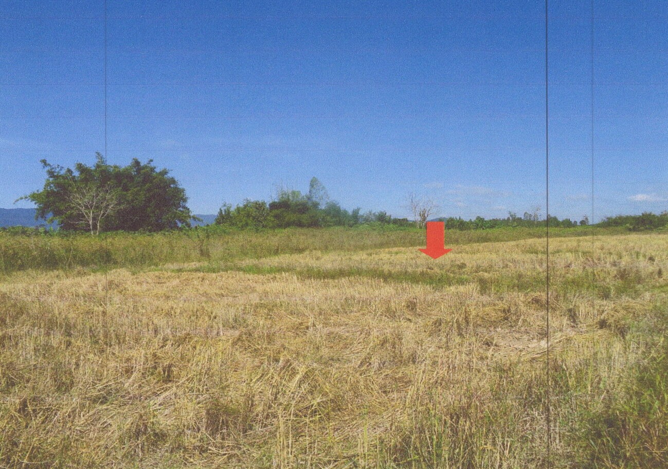 รูปที่ดินว่างเปล่า ดอยลาน เมืองเชียงราย เชียงราย