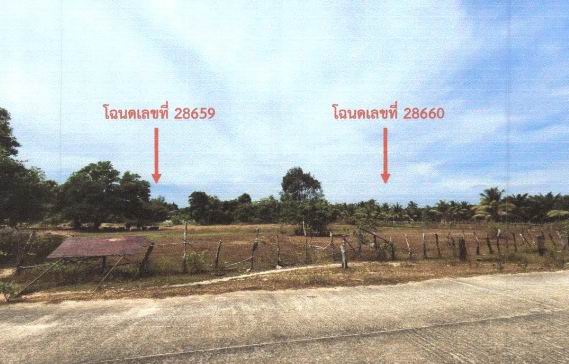 รูปที่ดินว่างเปล่า หนองแสงใหญ่ โขงเจียม อุบลราชธานี