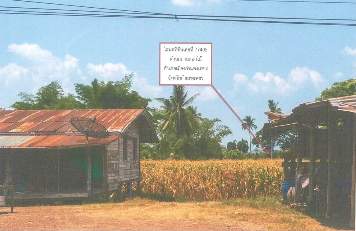 รูปที่ดินว่างเปล่า ลานดอกไม้ เมืองกำแพงเพชร กำแพงเพชร