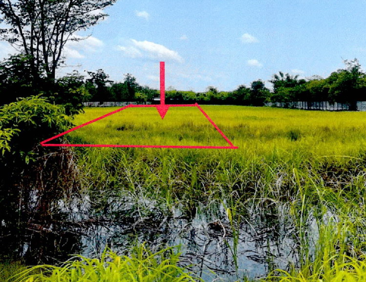 รูปที่ดินว่างเปล่า ดงคู่ ศรีสัชนาลัย สุโขทัย