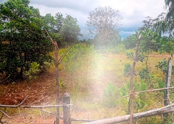 รูปที่ดินว่างเปล่า ธาตุพนม ธาตุพนม นครพนม