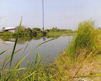 รูปที่ดินว่างเปล่า นครชุมน์ บ้านโป่ง ราชบุรี