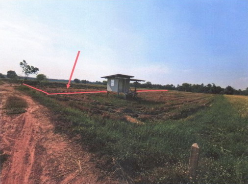 รูปที่ดินว่างเปล่า ดอนทอง เมืองพิษณุโลก พิษณุโลก
