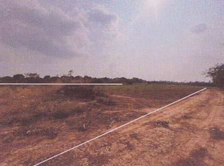 รูปที่ดินว่างเปล่า ร่มเกล้า นิคมคำสร้อย มุกดาหาร